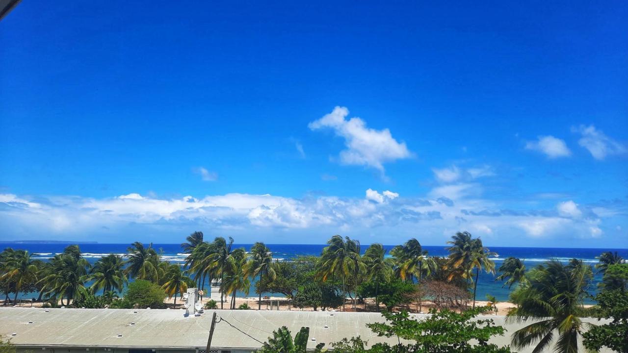 Studio T1 Bis La Belle Vue, Vue Mer, Wifi, Plage A 50M Le Moule Eksteriør billede